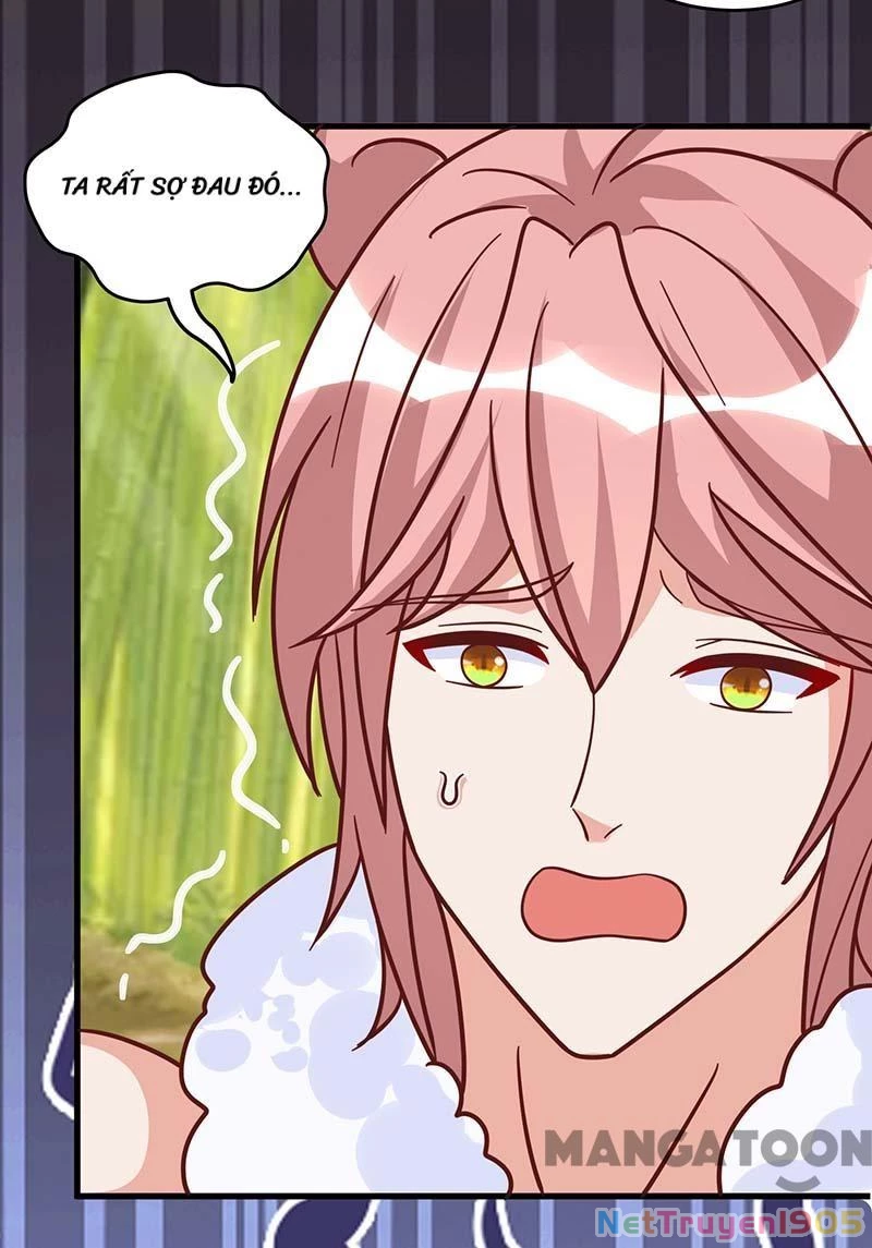 Thú Thế Cuồng Phi: Bất Đương Dị Giới Nữ Hải Vương Chapter 81 - 24