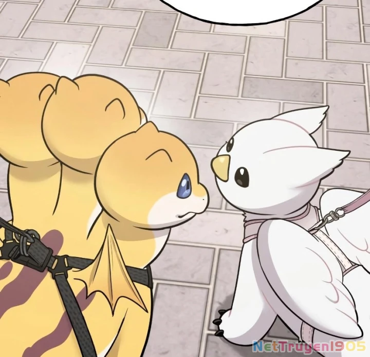 Chào Nhé, Griffin Mắt Tròn! Chapter 7 - 32