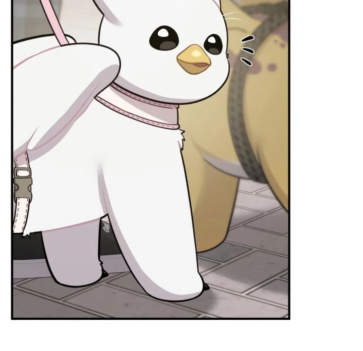 Chào Nhé, Griffin Mắt Tròn! Chapter 7 - 57