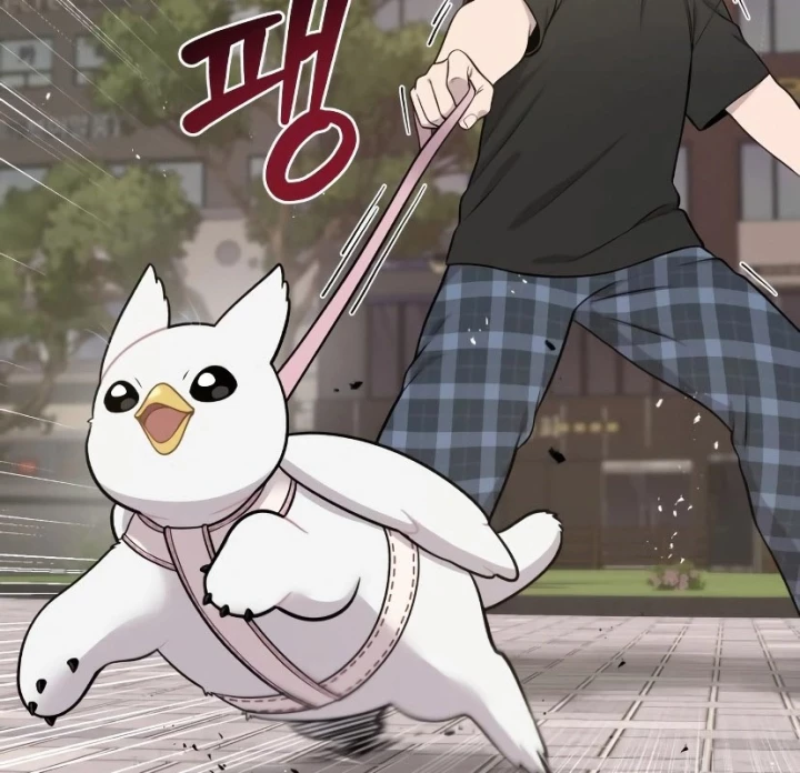 Chào Nhé, Griffin Mắt Tròn! Chapter 7 - 62