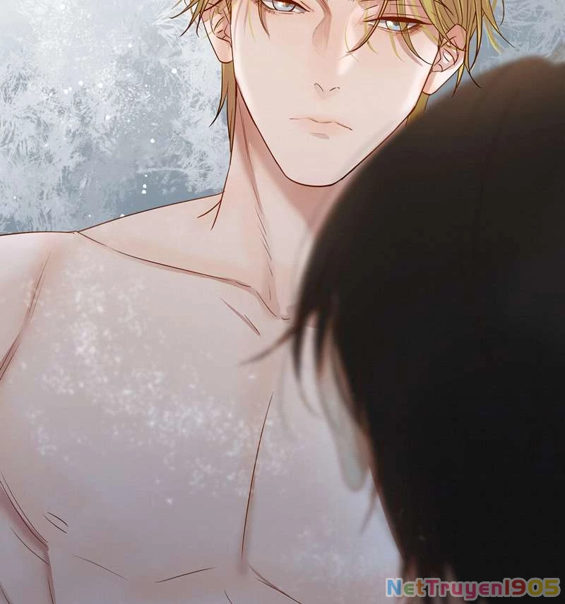 Tuyệt Xử Phùng Sinh Chapter 24 - 57