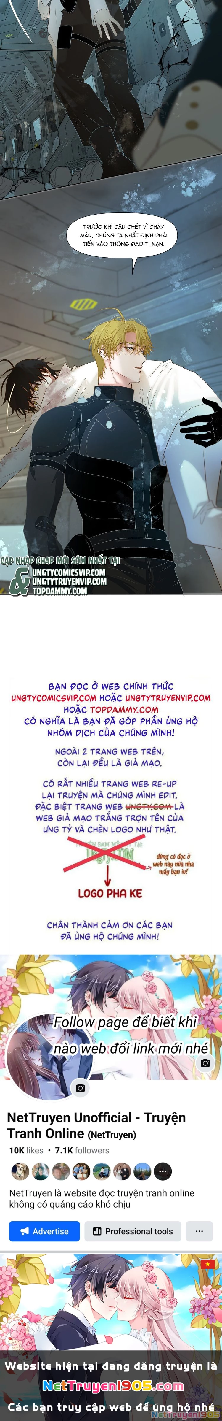 Tuyệt Xử Phùng Sinh Chapter 36 - 17