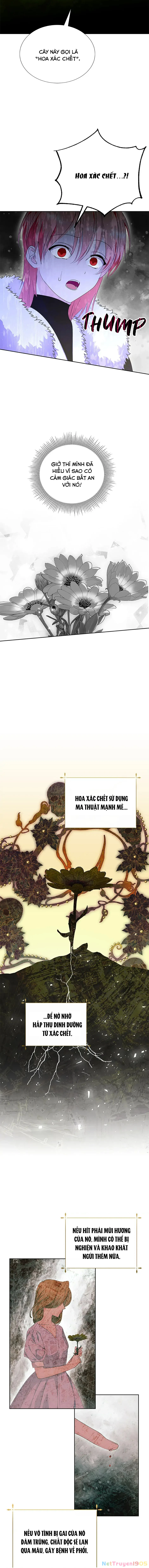 Phía Sau Mặt Nạ Của Nam Chính Hiền Lành Chapter 61 - 11