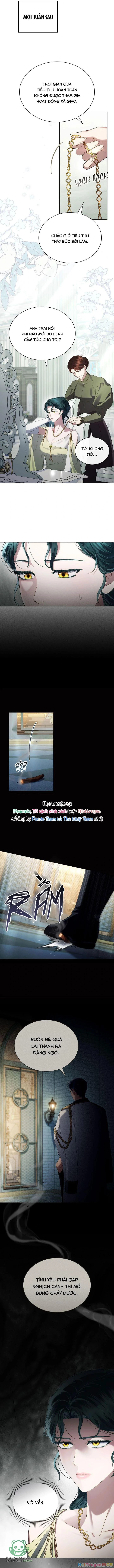 Giới Thượng Lưu Chapter 52 - 3