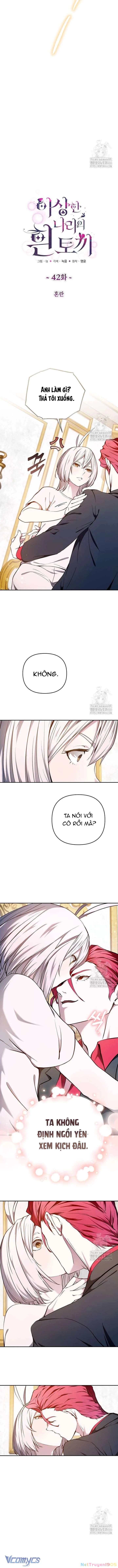 Thỏ Trắng Ở Xử Sở Thần Tiên Chapter 42 - 5
