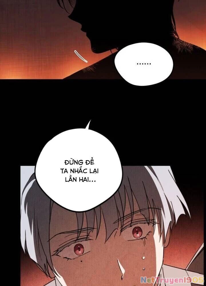 Bị Che Khuất Bởi Mặt Trời Lặn Chapter 66 - 104
