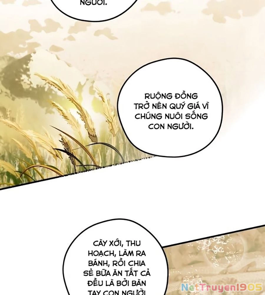 Bị Che Khuất Bởi Mặt Trời Lặn Chapter 70 - 45