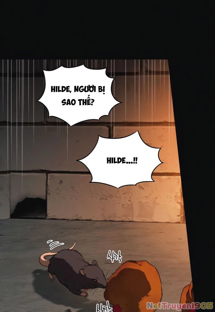 Bị Che Khuất Bởi Mặt Trời Lặn Chapter 73 - 11