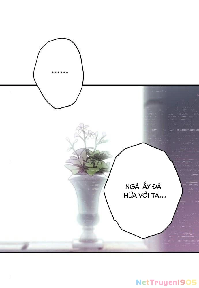 Bị Che Khuất Bởi Mặt Trời Lặn Chapter 91 - 52