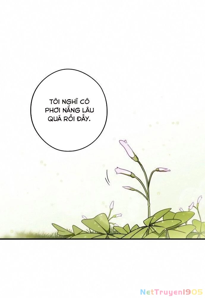 Bị Che Khuất Bởi Mặt Trời Lặn Chapter 97 - 80