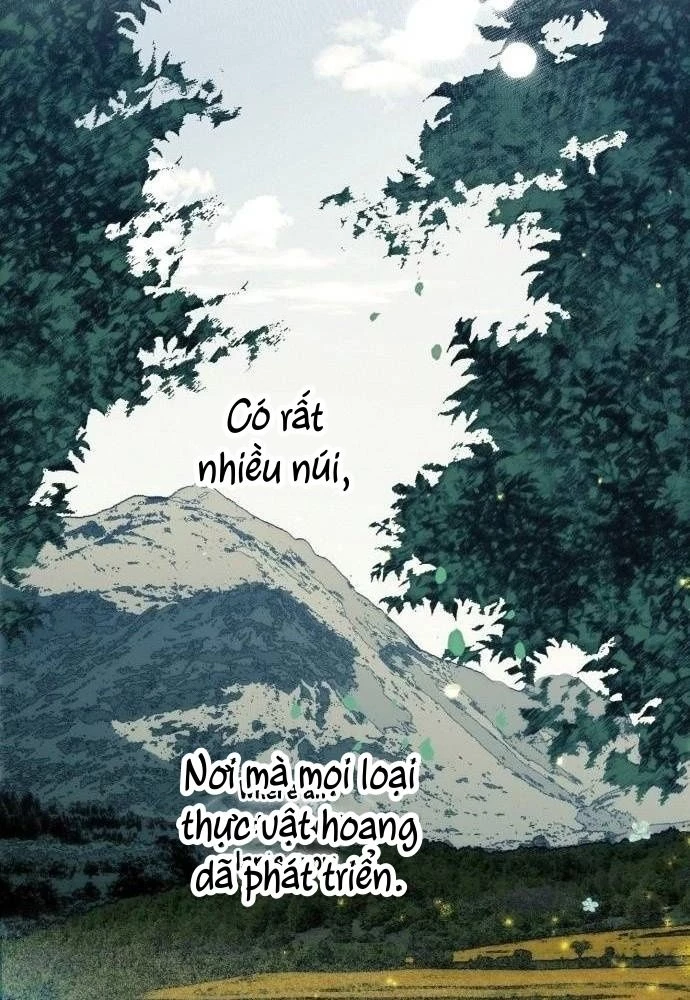 Bị Che Khuất Bởi Mặt Trời Lặn Chapter 102 - 75