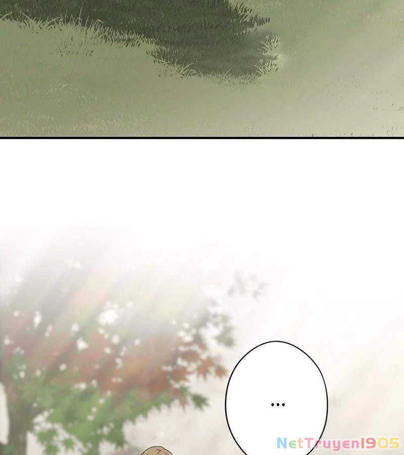 Bị Che Khuất Bởi Mặt Trời Lặn Chapter 117 - 41