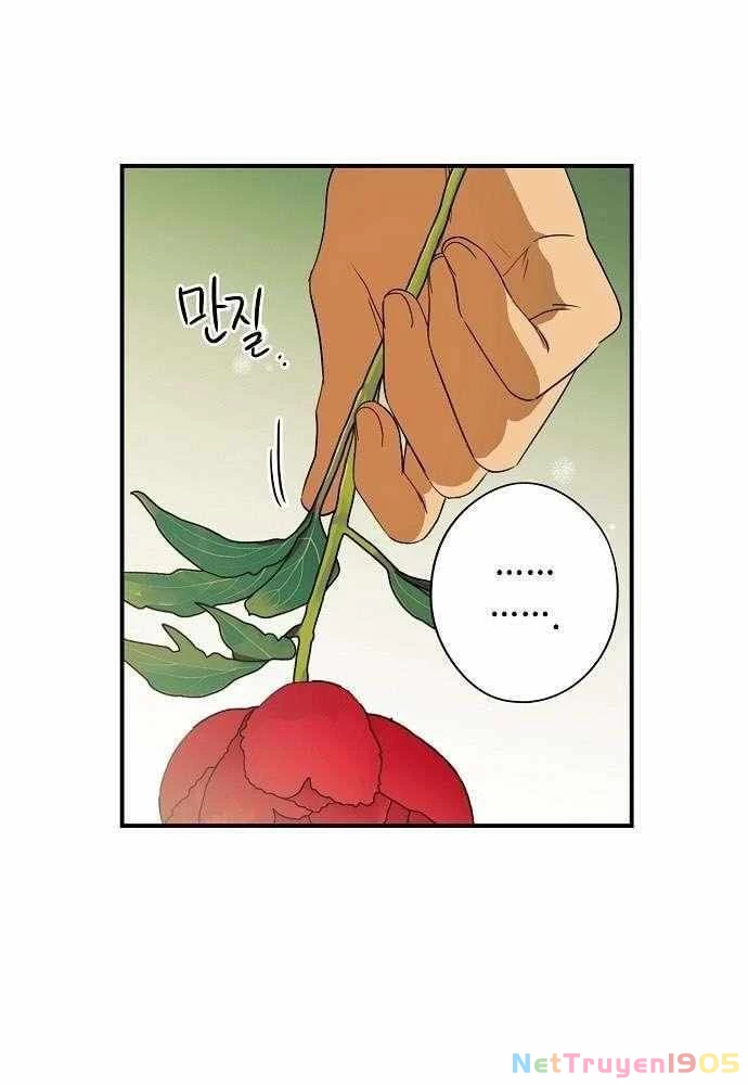 Bị Che Khuất Bởi Mặt Trời Lặn Chapter 130 - 65