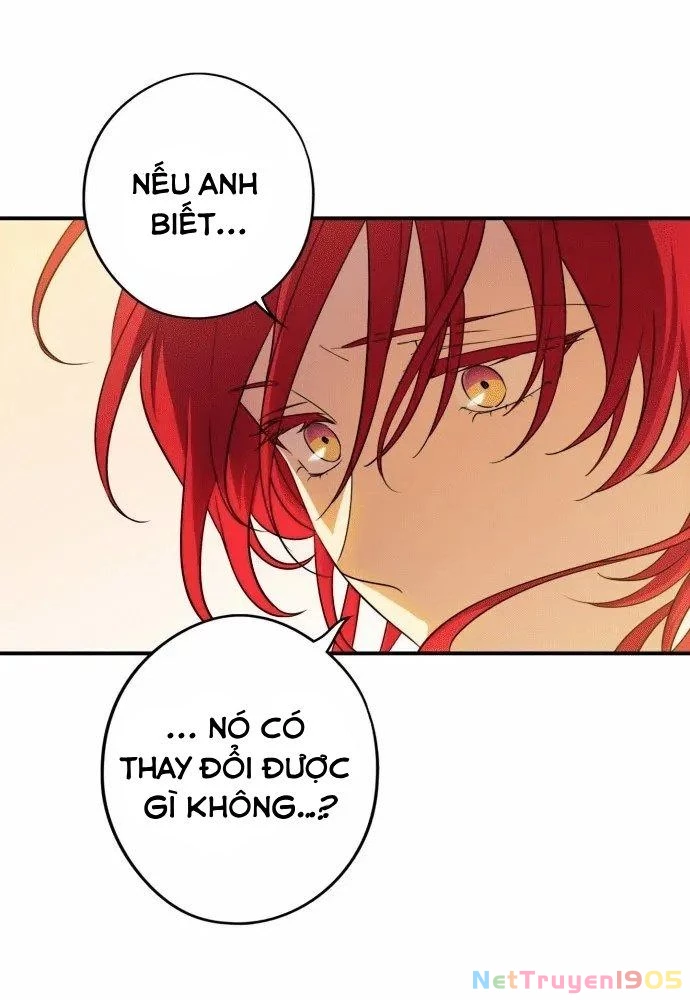 Bị Che Khuất Bởi Mặt Trời Lặn Chapter 138 - 28