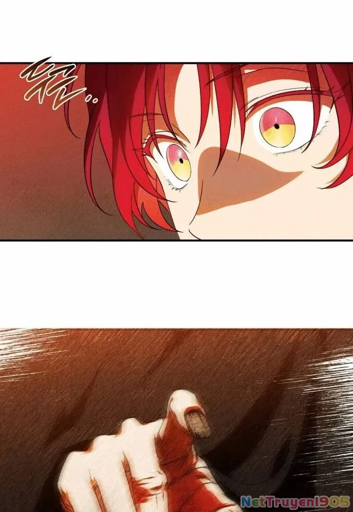 Bị Che Khuất Bởi Mặt Trời Lặn Chapter 141 - 16