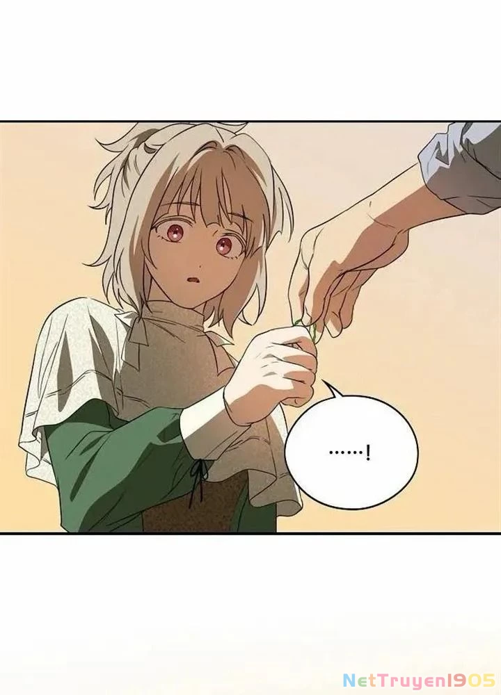 Bị Che Khuất Bởi Mặt Trời Lặn Chapter 144 - 55