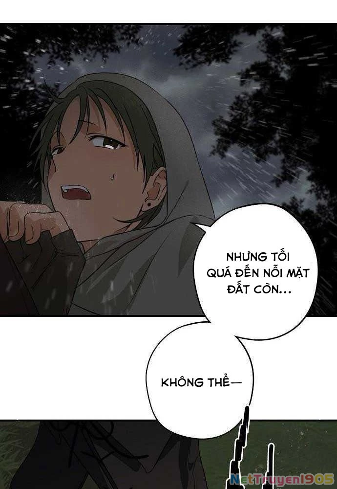 Bị Che Khuất Bởi Mặt Trời Lặn Chapter 147 - 11