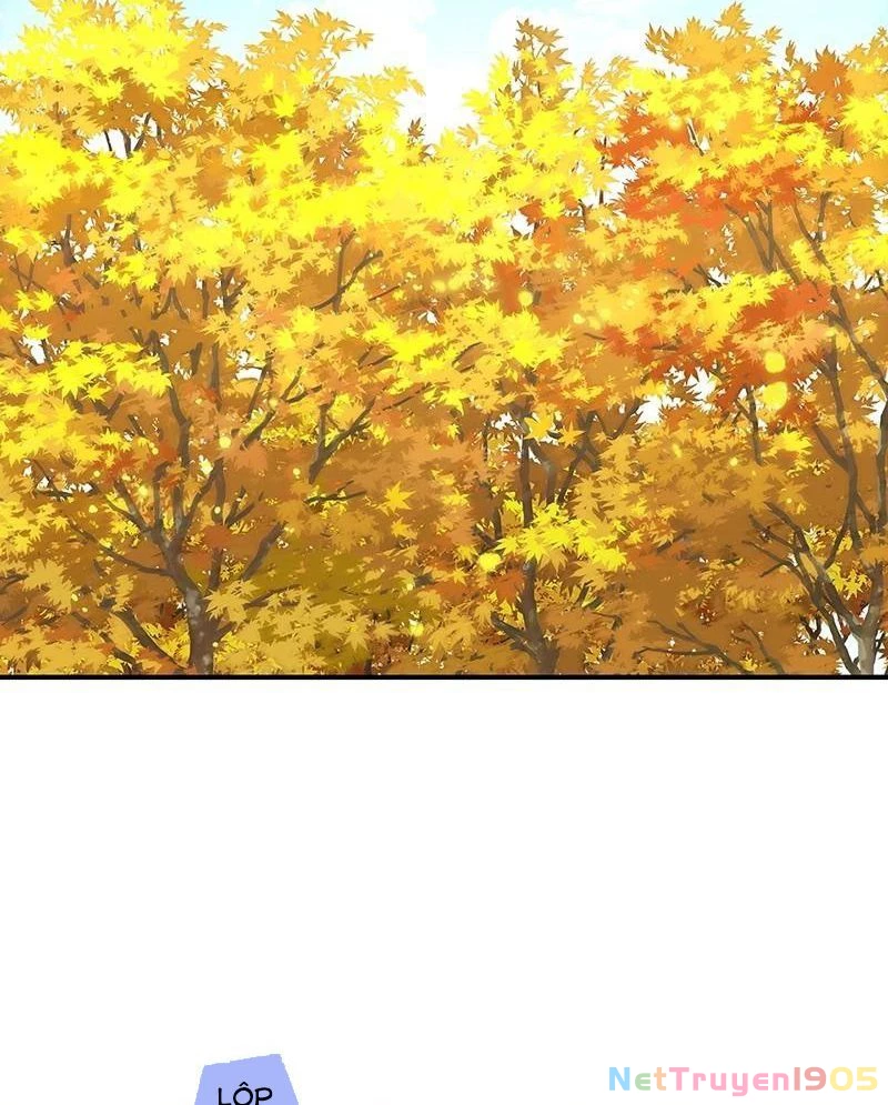 Bị Che Khuất Bởi Mặt Trời Lặn Chapter 153 - 69