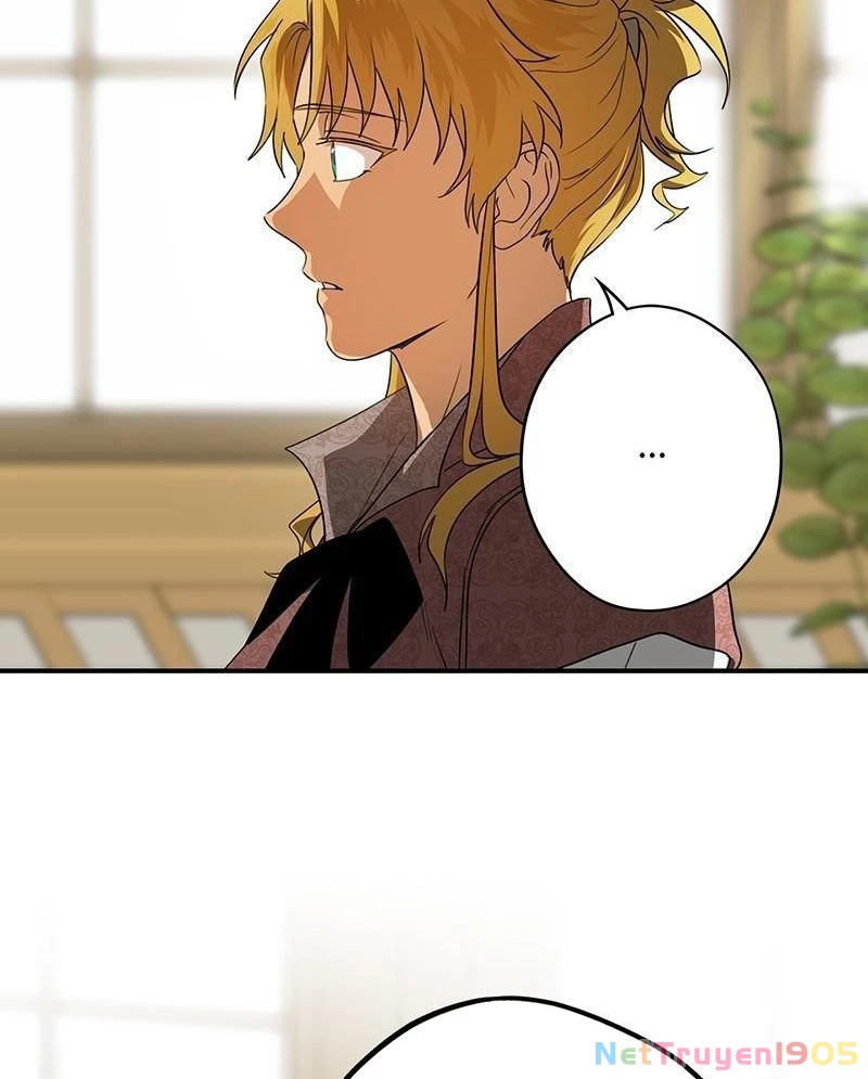 Bị Che Khuất Bởi Mặt Trời Lặn Chapter 154 - 72