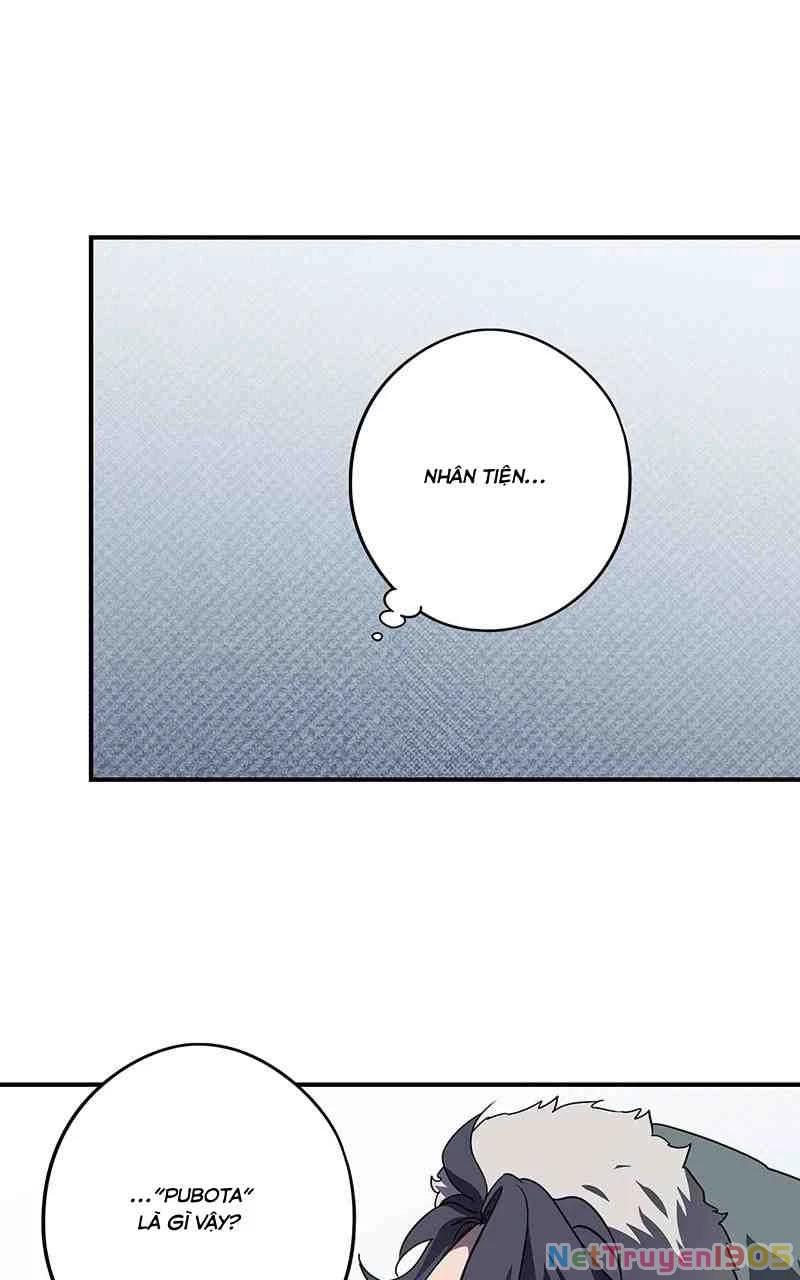 Bị Che Khuất Bởi Mặt Trời Lặn Chapter 156 - 11