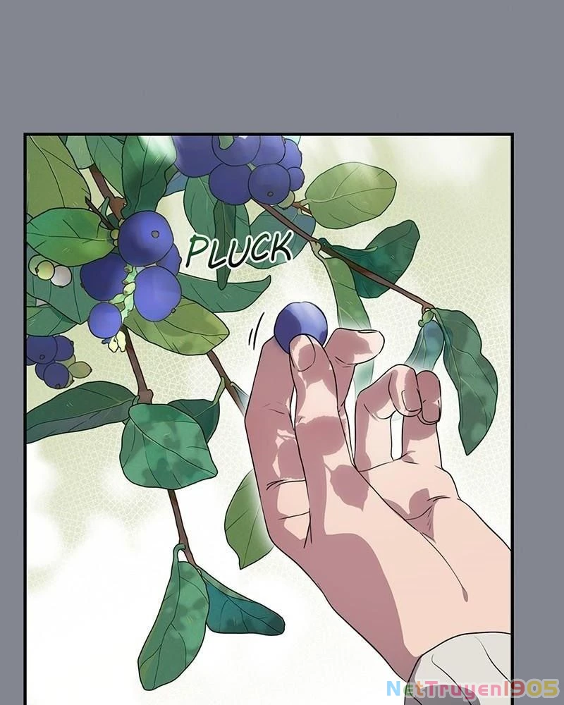 Bị Che Khuất Bởi Mặt Trời Lặn Chapter 157 - 16