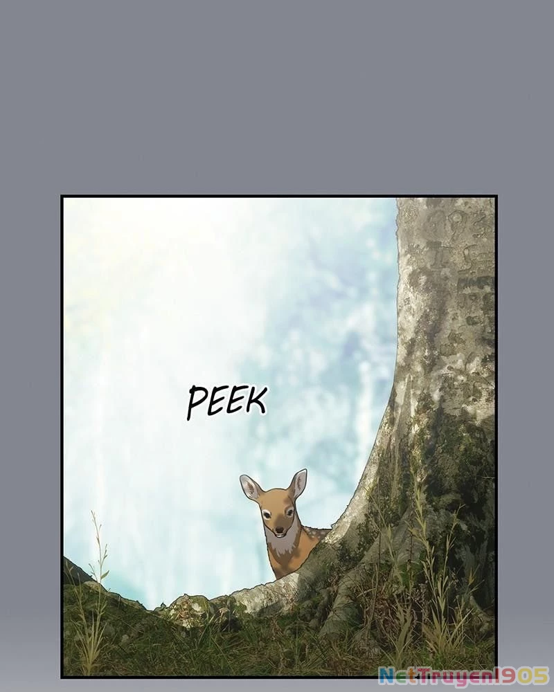 Bị Che Khuất Bởi Mặt Trời Lặn Chapter 157 - 28
