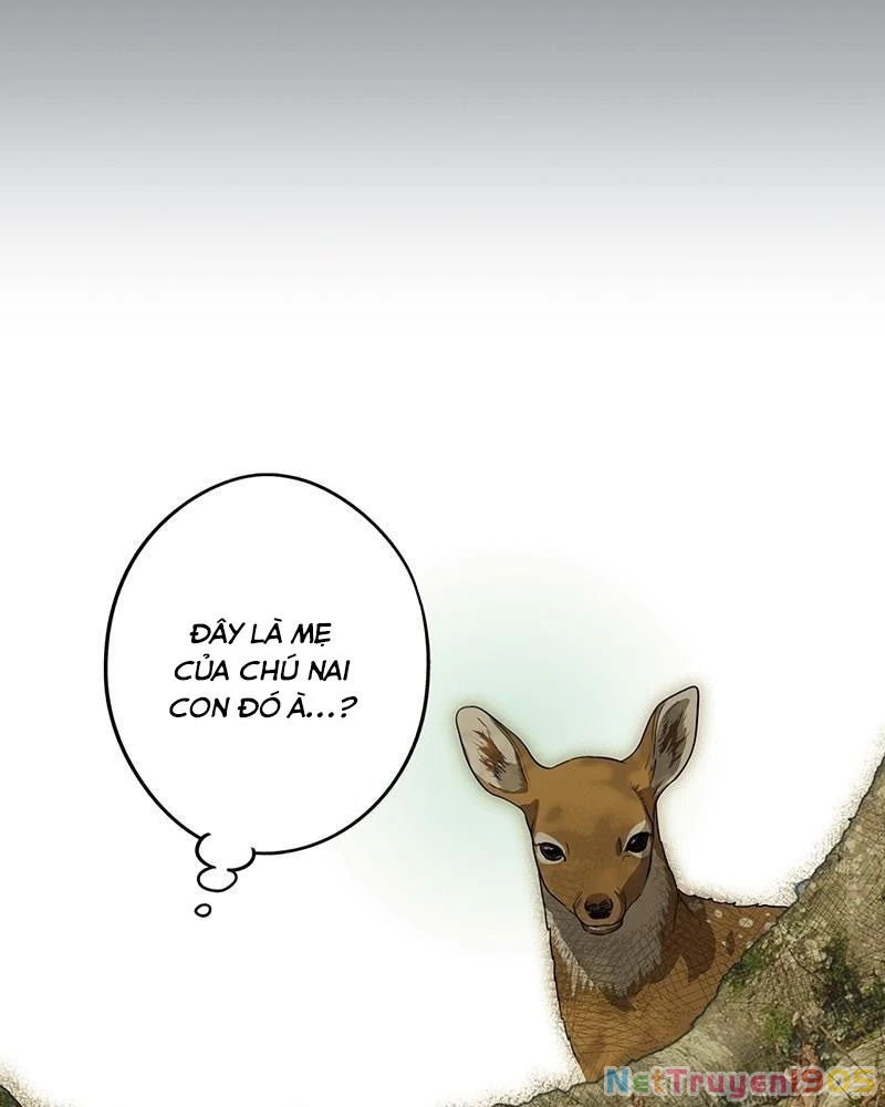 Bị Che Khuất Bởi Mặt Trời Lặn Chapter 157 - 29