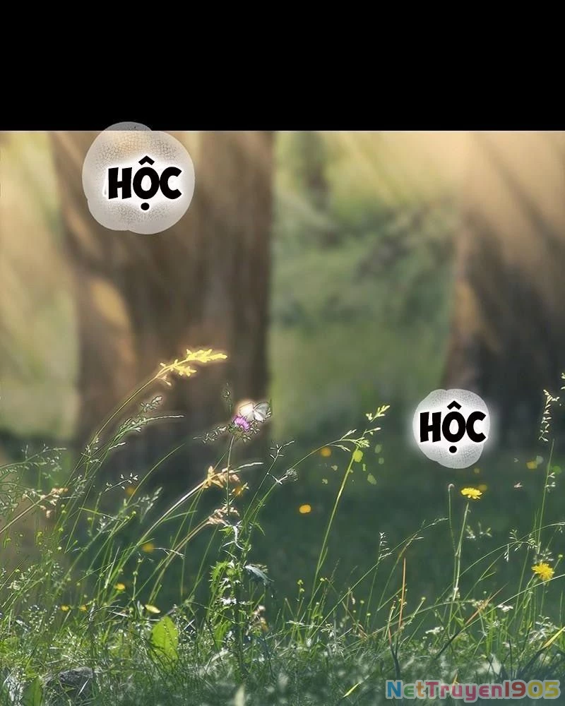 Bị Che Khuất Bởi Mặt Trời Lặn Chapter 158 - 46