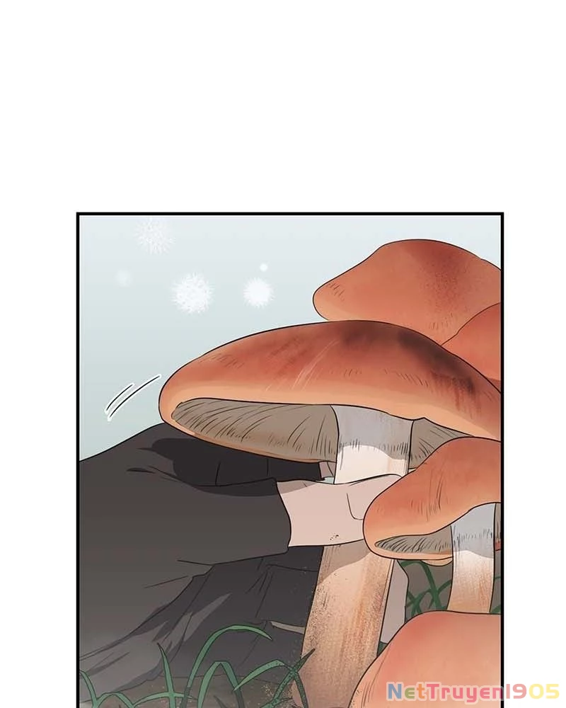 Bị Che Khuất Bởi Mặt Trời Lặn Chapter 166 - 44