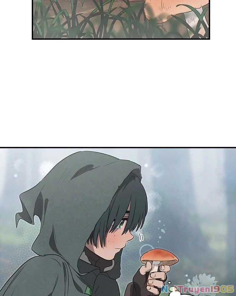 Bị Che Khuất Bởi Mặt Trời Lặn Chapter 166 - 45