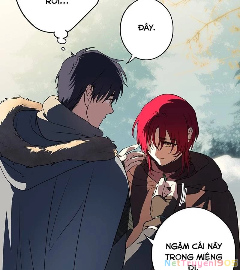 Bị Che Khuất Bởi Mặt Trời Lặn Chapter 172 - 12