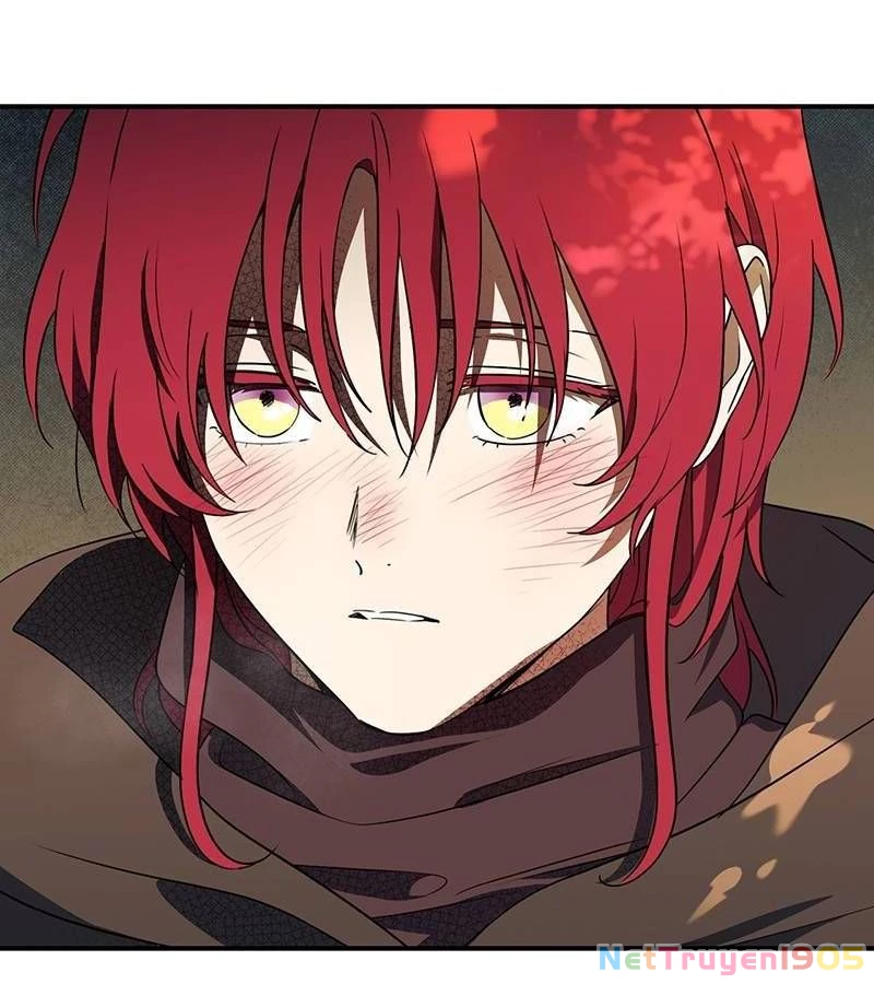 Bị Che Khuất Bởi Mặt Trời Lặn Chapter 173 - 35