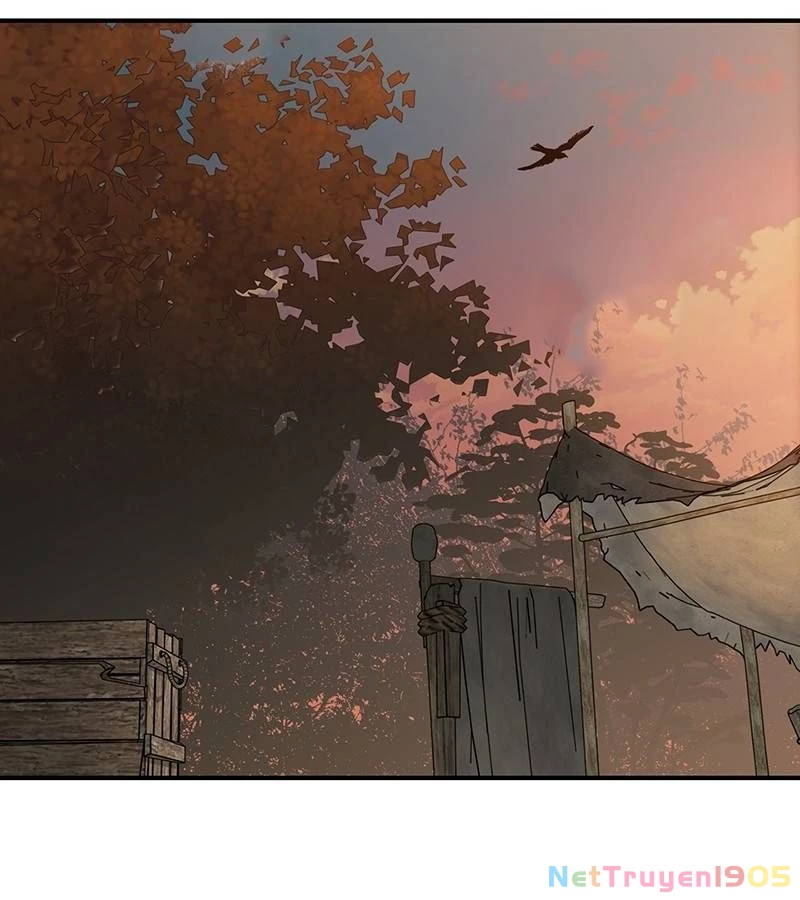 Bị Che Khuất Bởi Mặt Trời Lặn Chapter 174 - 39