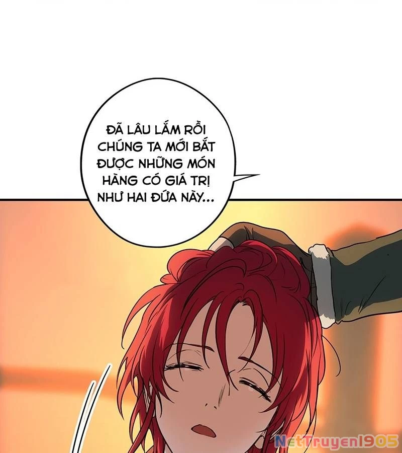 Bị Che Khuất Bởi Mặt Trời Lặn Chapter 174 - 95