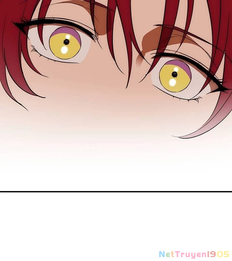 Bị Che Khuất Bởi Mặt Trời Lặn Chapter 174 - 100