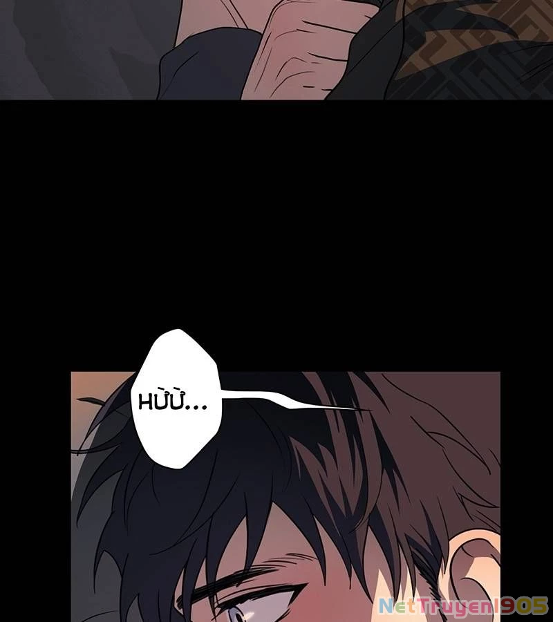 Bị Che Khuất Bởi Mặt Trời Lặn Chapter 176 - 29