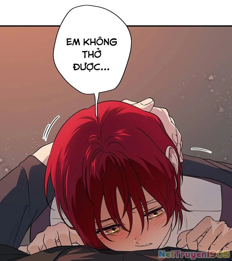 Bị Che Khuất Bởi Mặt Trời Lặn Chapter 176 - 107