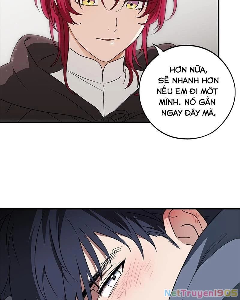 Bị Che Khuất Bởi Mặt Trời Lặn Chapter 177 - 13