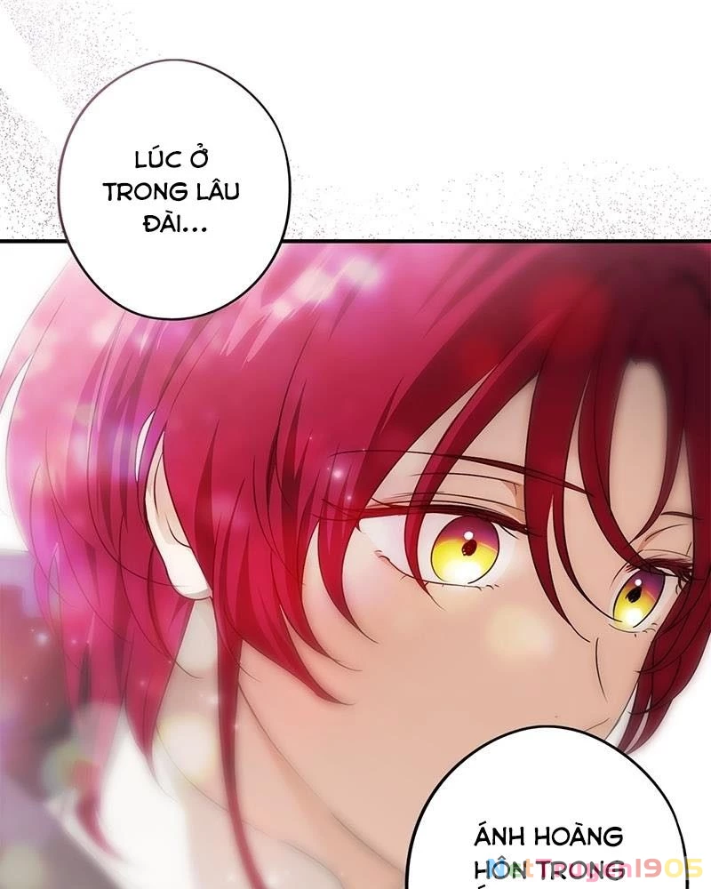 Bị Che Khuất Bởi Mặt Trời Lặn Chapter 177 - 17