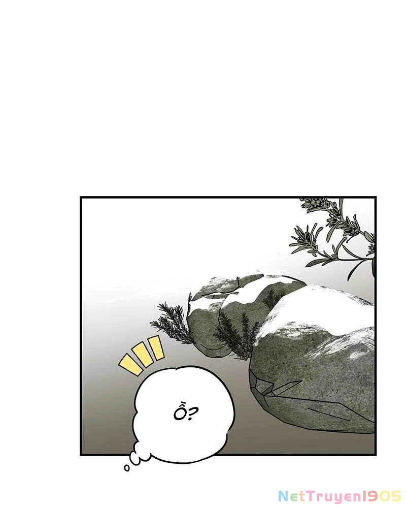 Bị Che Khuất Bởi Mặt Trời Lặn Chapter 177 - 31