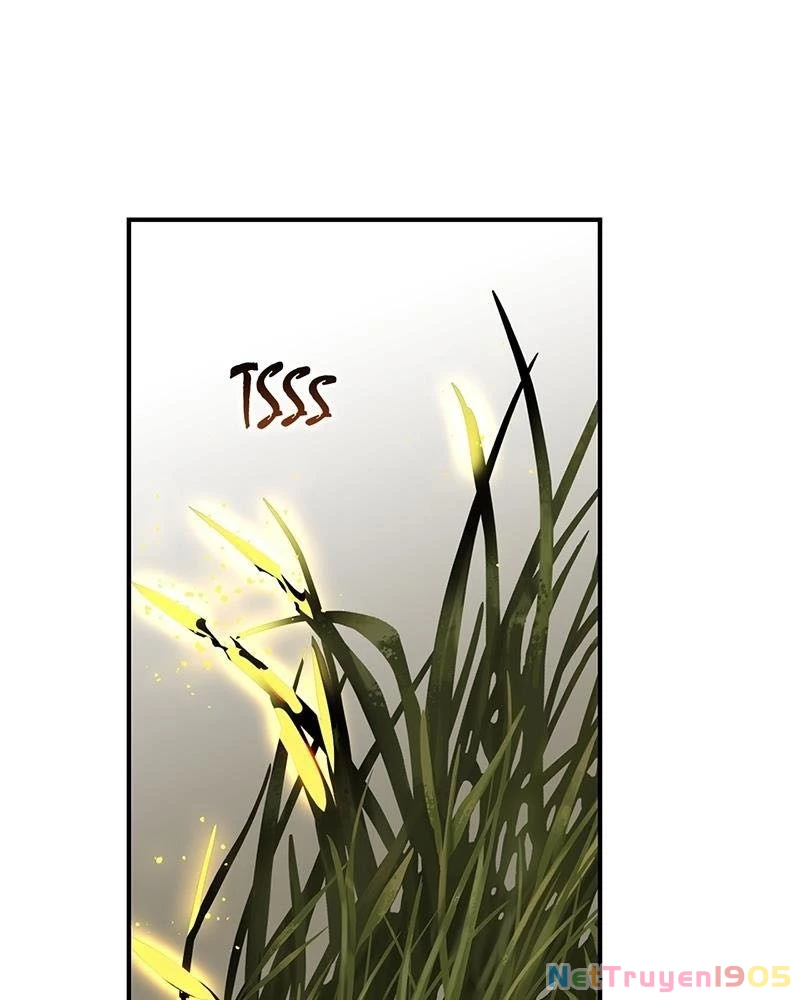 Bị Che Khuất Bởi Mặt Trời Lặn Chapter 177 - 49