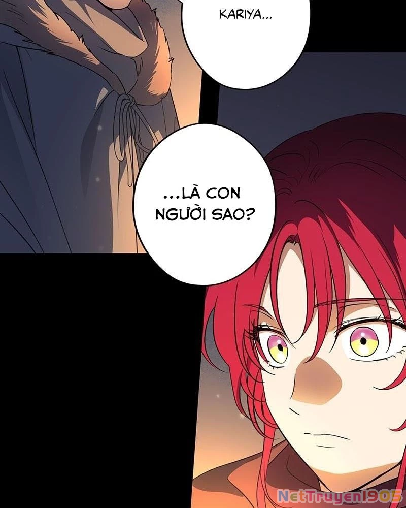 Bị Che Khuất Bởi Mặt Trời Lặn Chapter 179 - 12