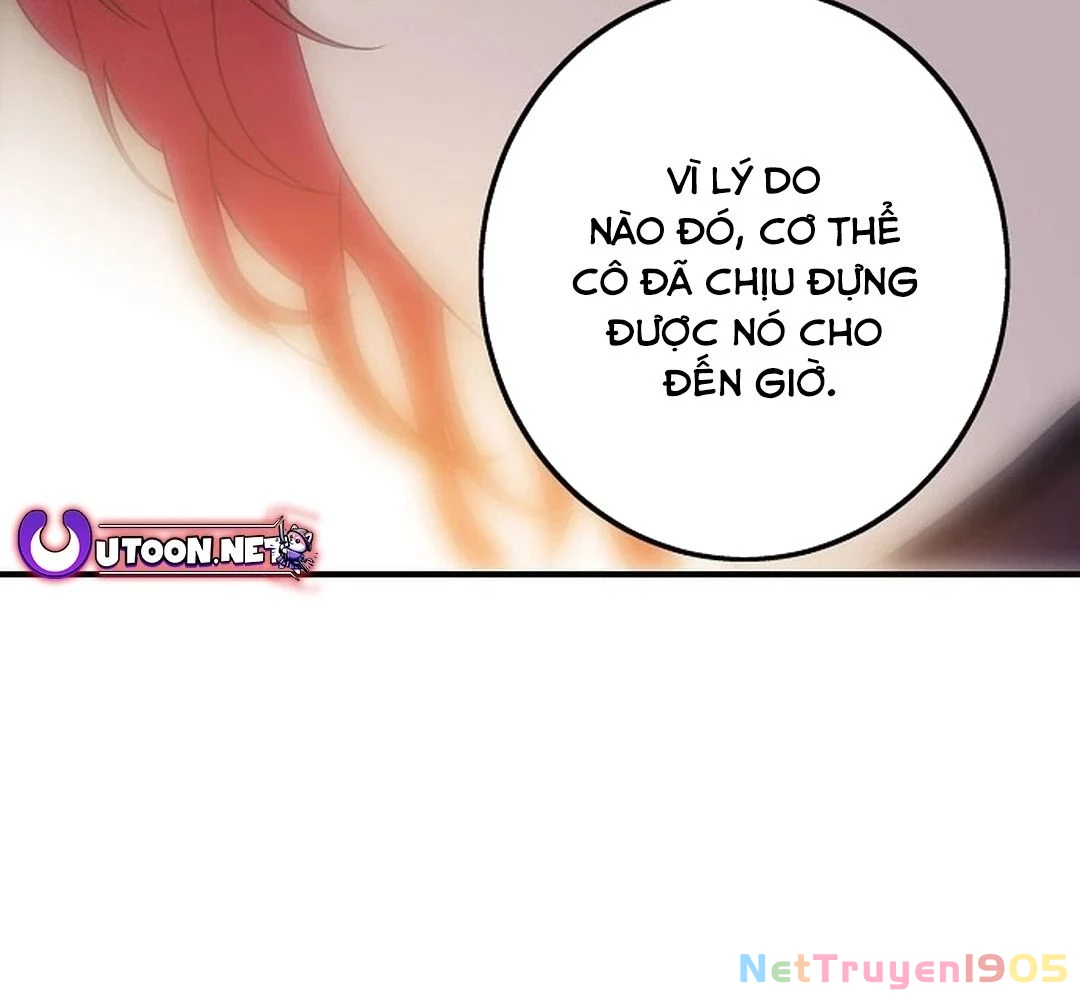 Bị Che Khuất Bởi Mặt Trời Lặn Chapter 180 - 3