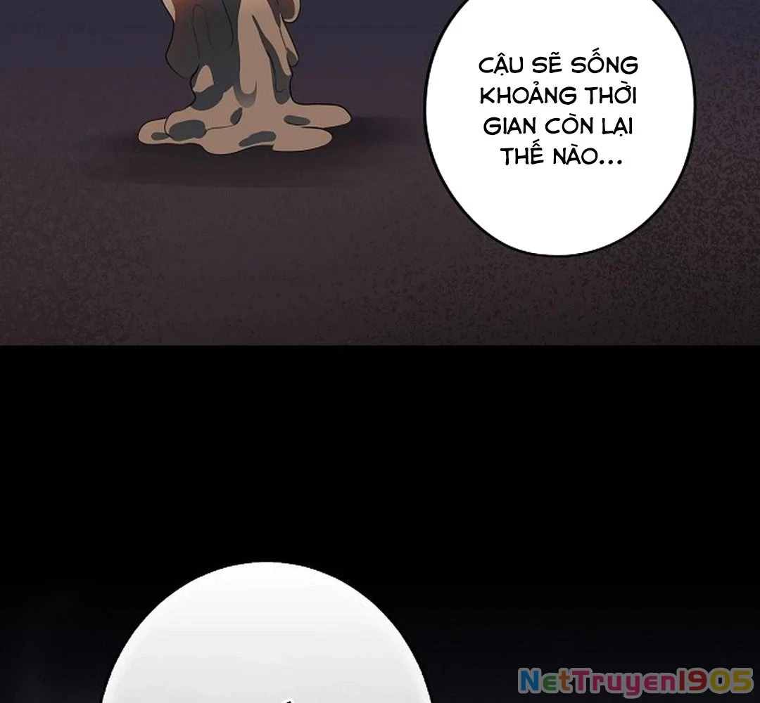 Bị Che Khuất Bởi Mặt Trời Lặn Chapter 180 - 45