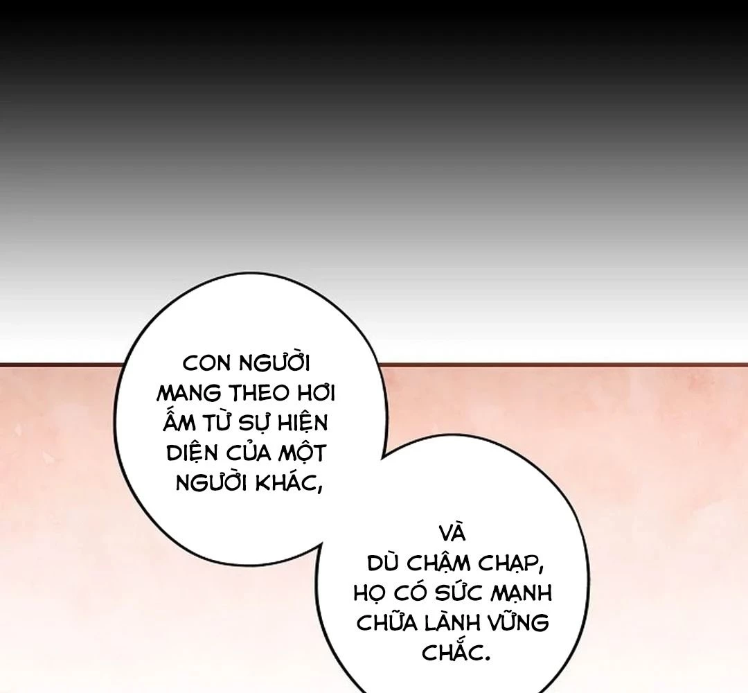 Bị Che Khuất Bởi Mặt Trời Lặn Chapter 180 - 82