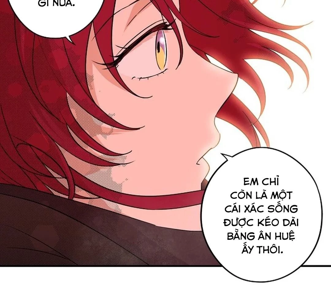 Bị Che Khuất Bởi Mặt Trời Lặn Chapter 180 - 146