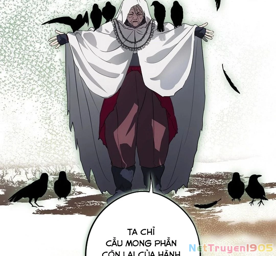 Bị Che Khuất Bởi Mặt Trời Lặn Chapter 181 - 43