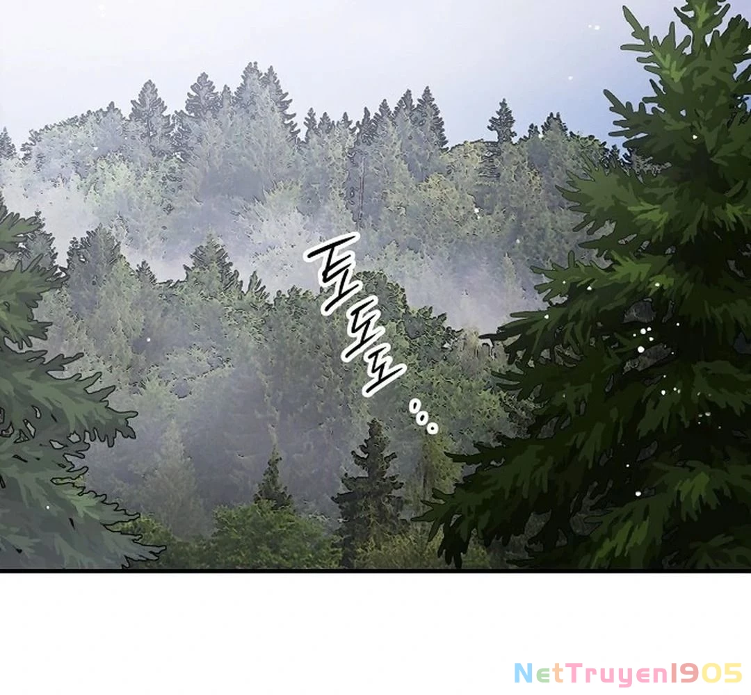 Bị Che Khuất Bởi Mặt Trời Lặn Chapter 182 - 42