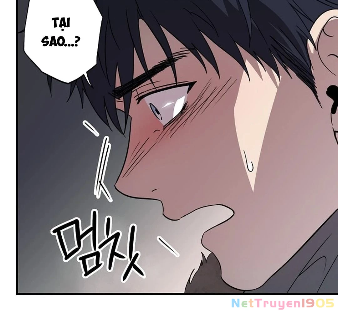 Bị Che Khuất Bởi Mặt Trời Lặn Chapter 183 - 24