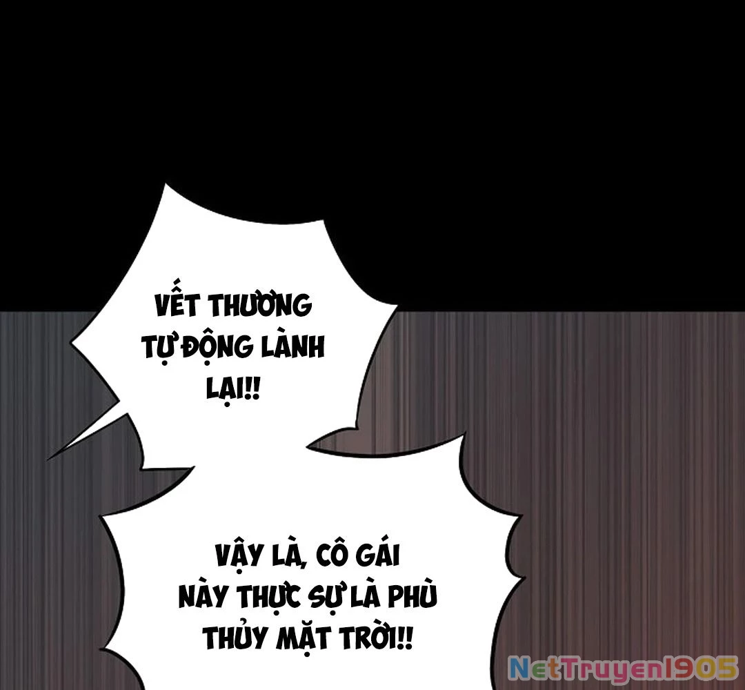 Bị Che Khuất Bởi Mặt Trời Lặn Chapter 183 - 67